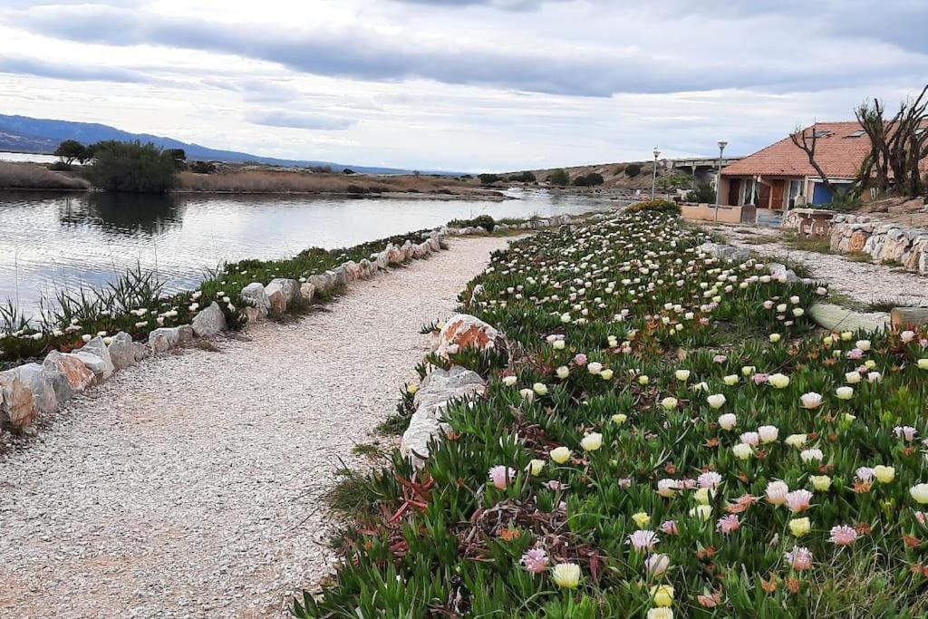 Maisonnette Entre Etang Et Plage Leucate Buitenkant foto